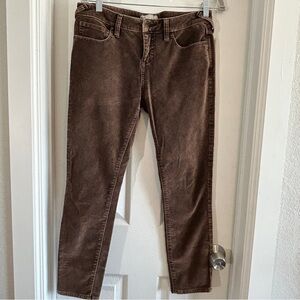 Free People Brown Velvet Skinny Pants Size 29